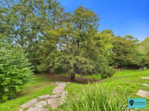 Garden - click for photo gallery